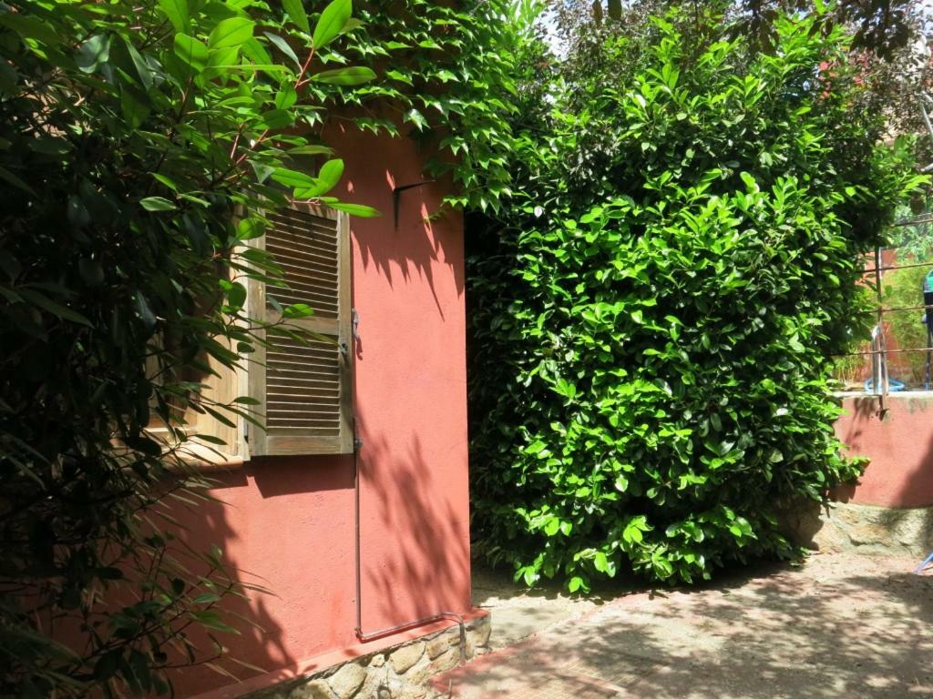 Chalet Navacerrada Piscina Privada מראה חיצוני תמונה
